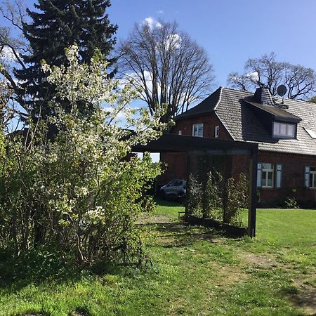 Zum Schwalbennest Apartment Wredenhagen Bagian luar foto